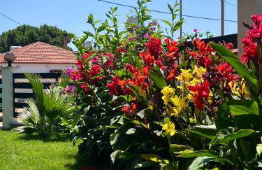 Galatea Suites - Foto 5