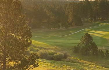 Cozy little pet-friendly cabin - Foto 17