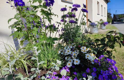 Ferienhaus "De Sieme" - Foto 34