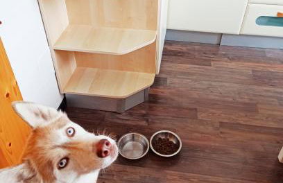 Casa Martina - Photo 6