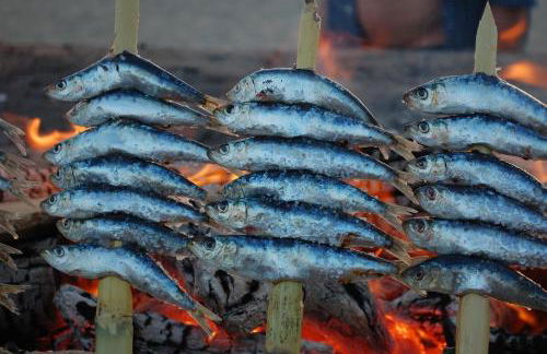 VICO Estudio con parking - Photo 49