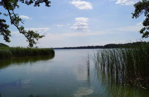 Ferienwohnung Rehagen Süd - Photo 33