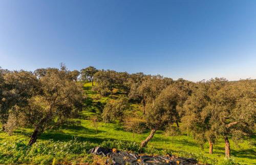 Sierra Melides Villa,Alentejo, BR2 with private pool, BR3 with private pool - near beach - Foto 22