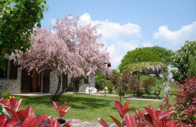 Fonte al Noce - Photo 26