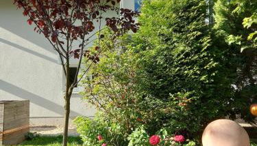 Ferienwohnung Reinhold - Photo 4, Garden view