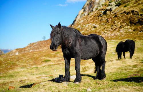 La maison des vacances - Foto 40