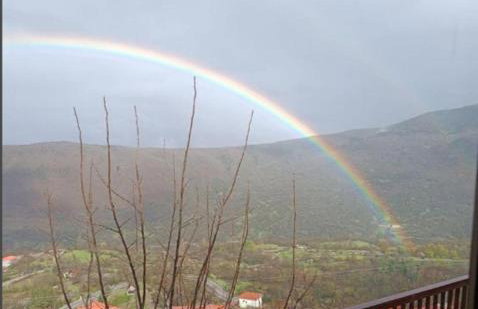 Άγρια Λούλουδα Κατοικία Ευτυχία - Photo 5