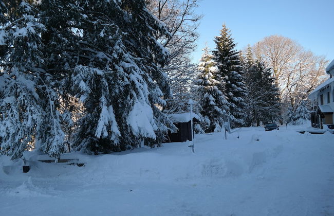 Ferienwohnungen Haus Zeier - Foto 15
