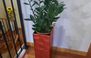 Rose Sun House - Foto 32