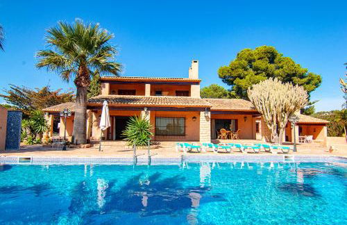 Finca fustera - Foto 1