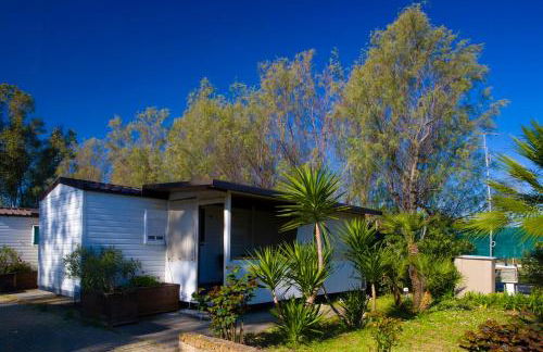 Grotta del Saraceno - Foto 57