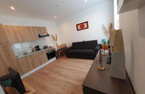 Appart'hôtel, IKIMO 5 appartements entiers à votre disposition au choix - Foto 33