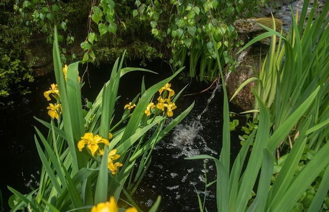 Villa Bieszkowice - Foto 31