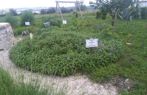 Masseria Fontana dei Fieri - Foto 65