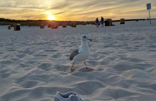 "NordWest" Ferienwohnung - Foto 17