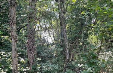 Casa vacanze a Prosecco - Trieste - Foto 28