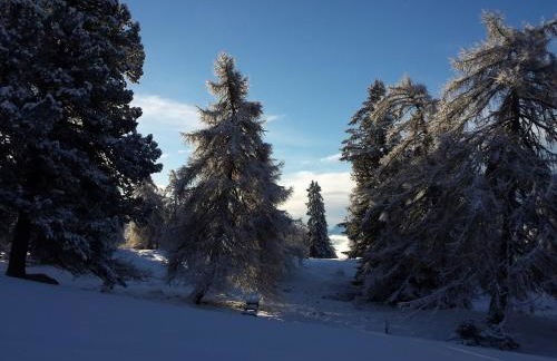 Apartment Toni - Foto 23