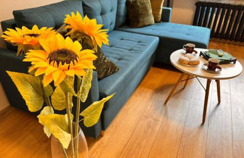 Apart Brzeg - Photo 10