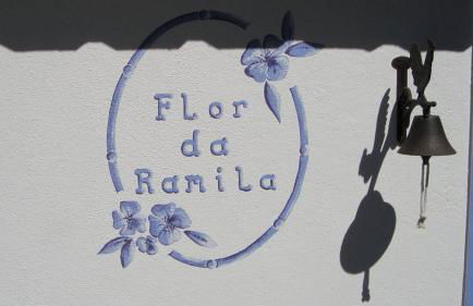Flor da Ramila - Foto 14