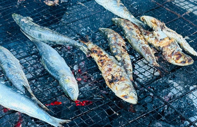 Tour del pescado por Matosinhos - Foto 4