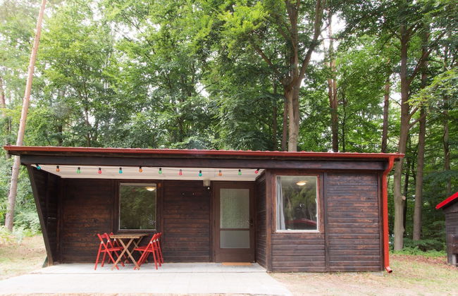 Natura-Familienpark Grimnitzsee Recreation Park - Foto 17