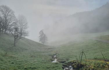 Bergforelle - Bilderbuchausblicke, Sauna und Genussmomente in einer ehemaligen Kapelle - Foto 10