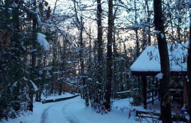 CHALET ETNA MILO - Foto 27