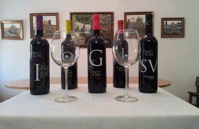 Tour in Láujar de Andarax - Foto 5