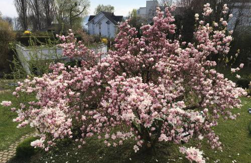 Uferresidenz Überlingen - Foto 19
