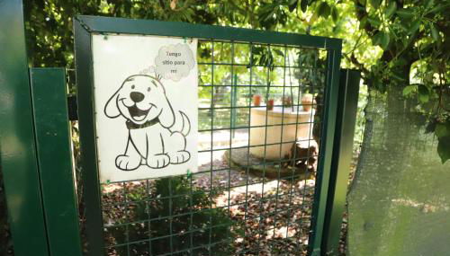 Senda Verde do Salnés - Foto 3, Garden