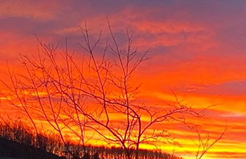 Sonnenhof, Ferienwohnung auf Reitanlage - Foto 30