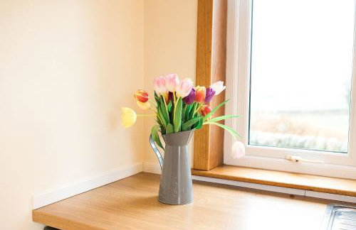 Fleet View - Foto 24