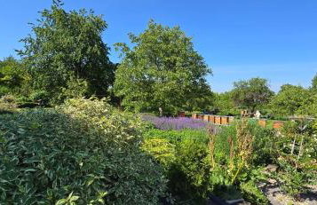 Agroturystyka u Joli - Foto 17