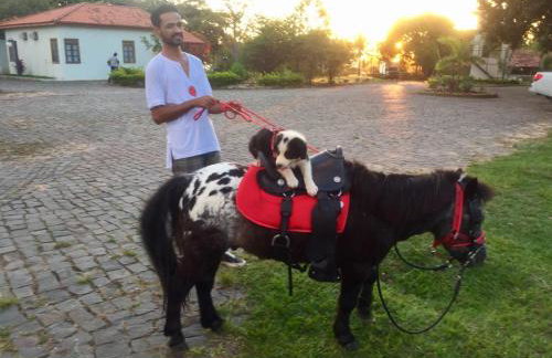 Mar Doce Boutique Hotel - Foto 26