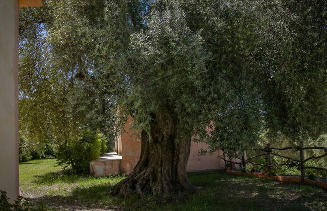 Welcomely - Country House Muristene- Iris - Foto 6