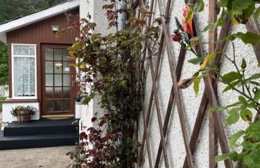 Charleston Apartment Self Catering 5 min drive from town centre - Photo 3