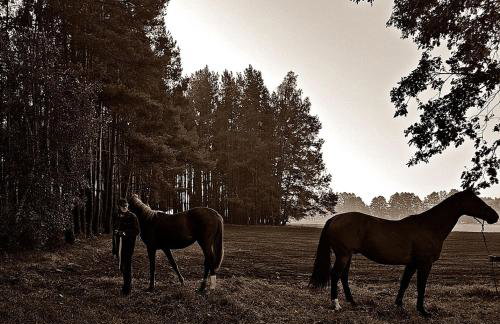 Agroturystyka Pod Modrzewiami - Foto 73
