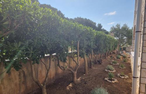 Apartmani Nena - Foto 6