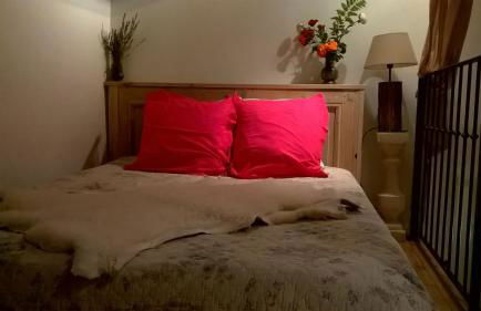 Les Allées de Bellecour - Photo 70