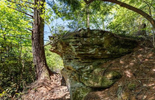 Knotty By Nature- Pet Friendly, Firepit, 150 Acres - Foto 41