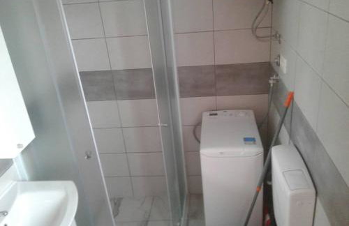 Dalmatian - Photo 19