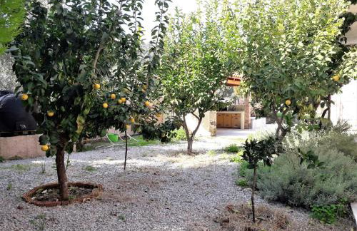 Villa Ioanneta - Close to sea, private parking, pet-friendly - Photo 26