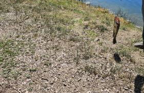 Pine Mountain Club Family Vacation House - Foto 64