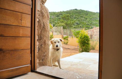 Résidence Vista Blu - Foto 43