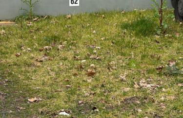 La Magnolia Firenze - Photo 31