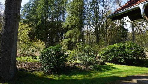 Ferienhaus Becker - Foto 5, Garden view