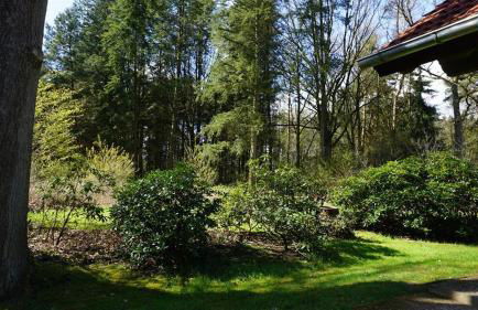 Ferienhaus Becker - Foto 5