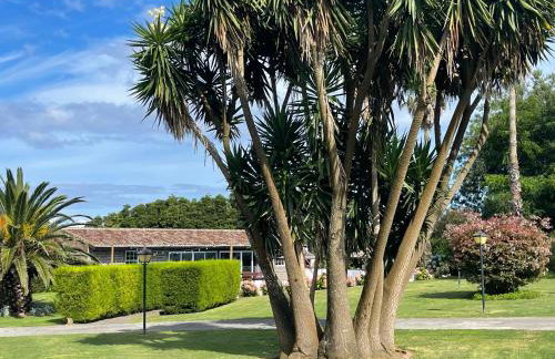 Cozy Cottage - Foto 20