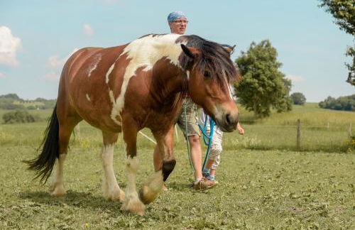 Nengshof Ferienwohnungen Mohnblume und Kornblume - Foto 36