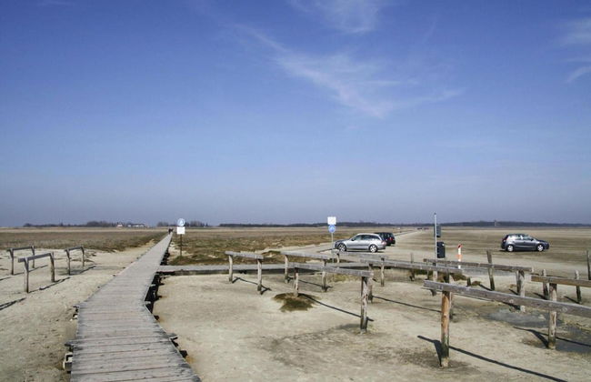 Ferienwohnung, St. Peter - Ording - Foto 14